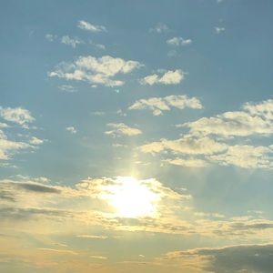 Meet your Posher, Bridgette